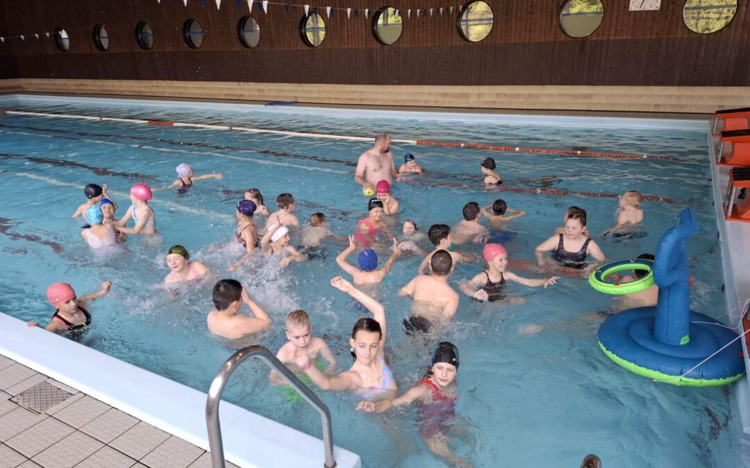 Županijska škola plivanja