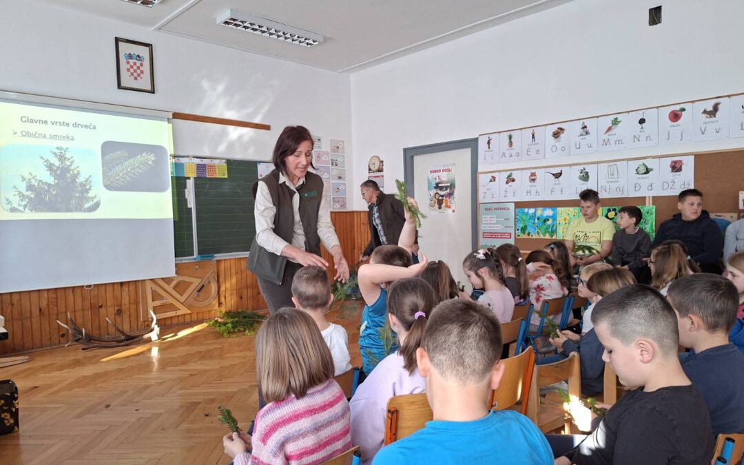 Škola u šumi, šuma u školi