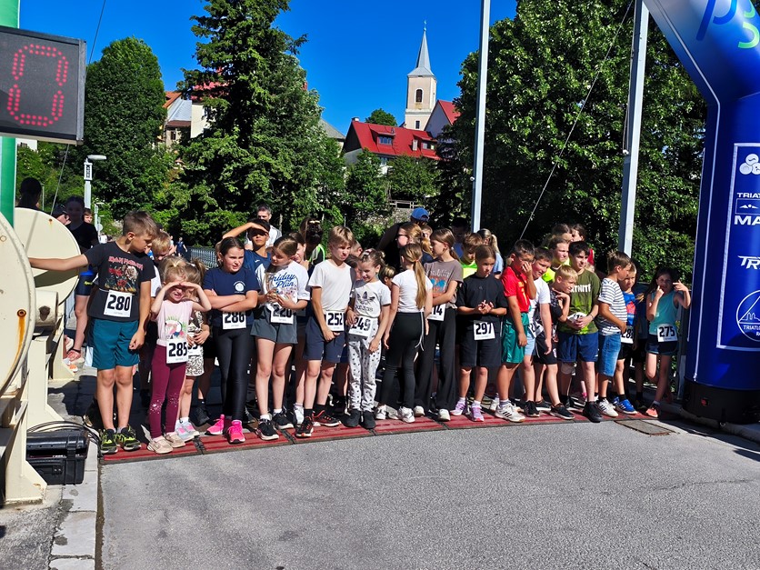 Fužinarska Lisica